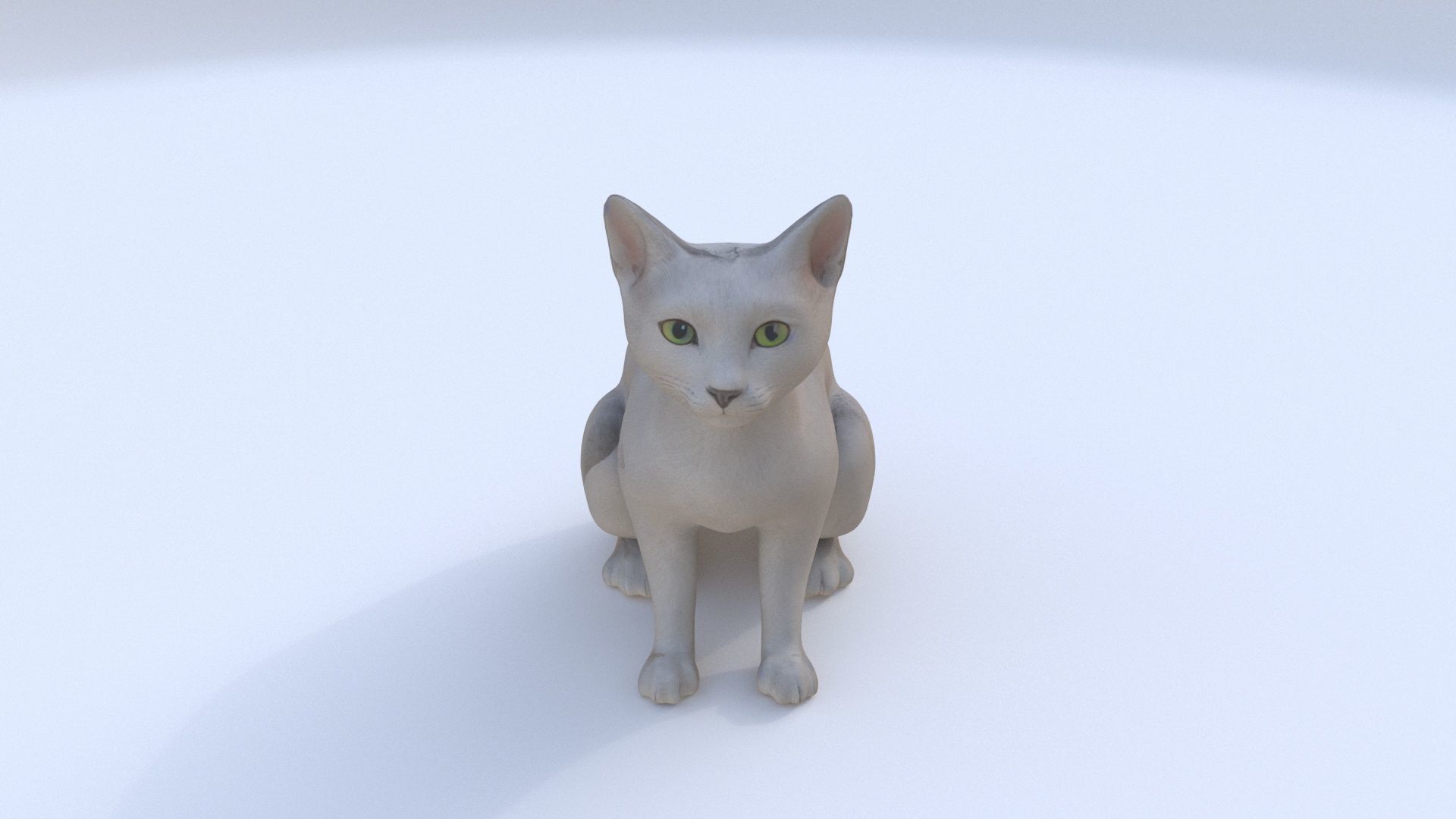 Russian Blue seated 3D model_1