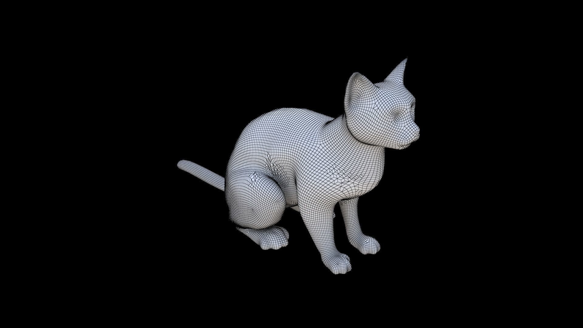 Russian Blue seated 3D model_5