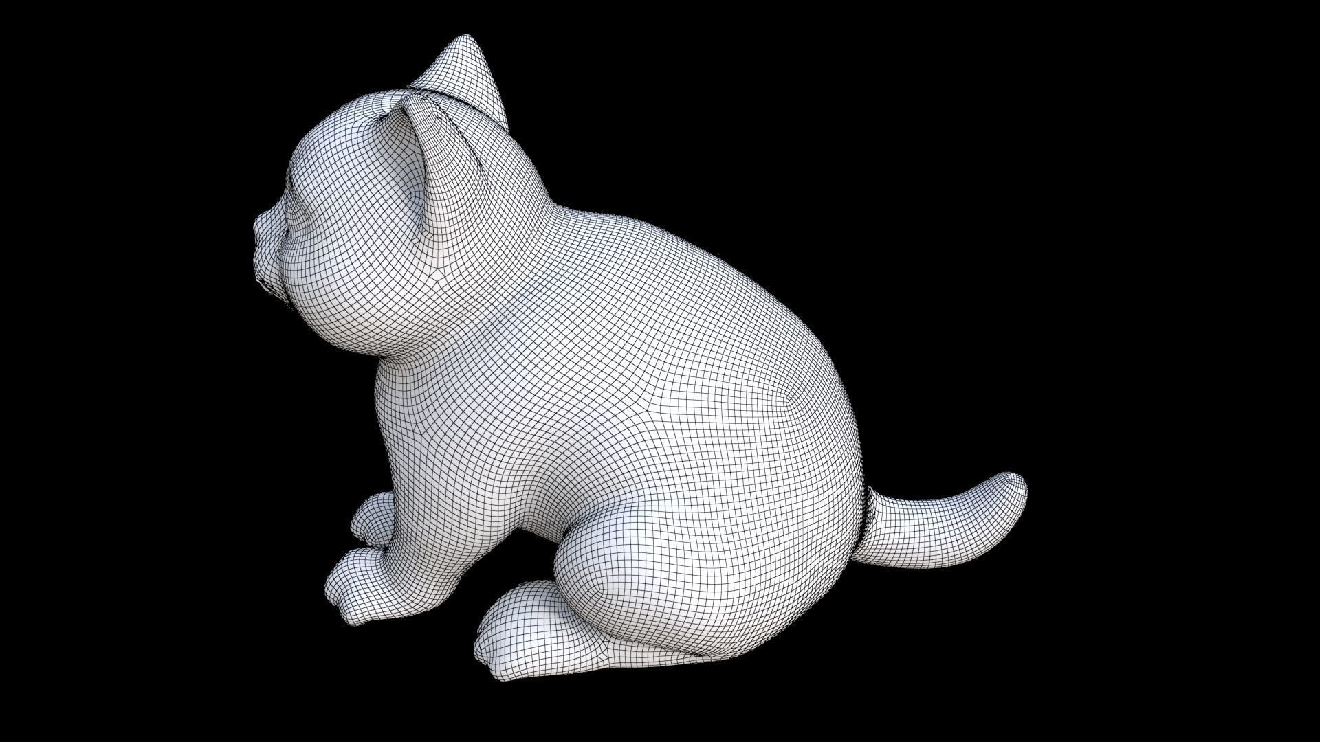 Scottish Fold seated 3D model_7