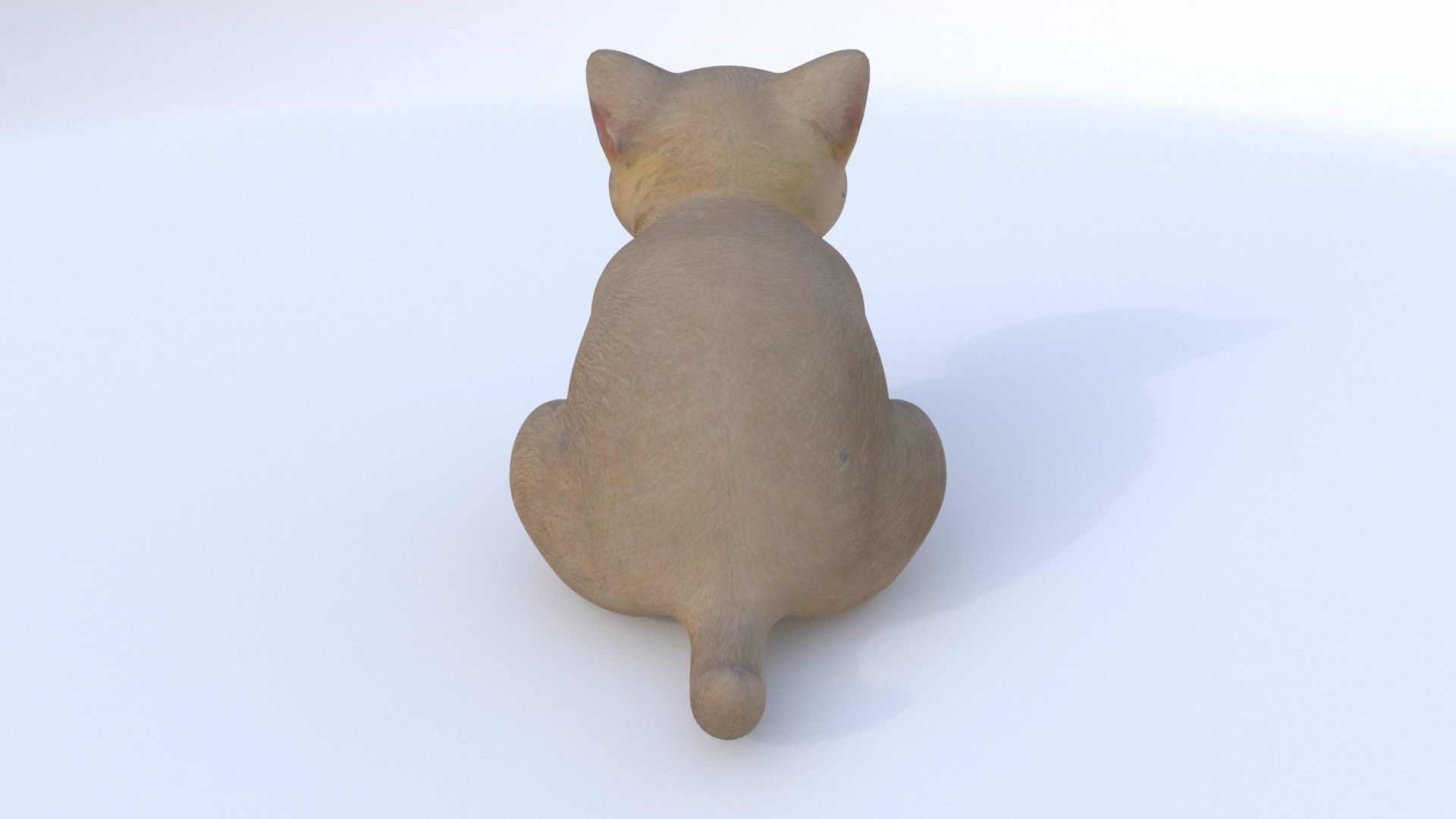 Scottish Fold seated 3D model_4