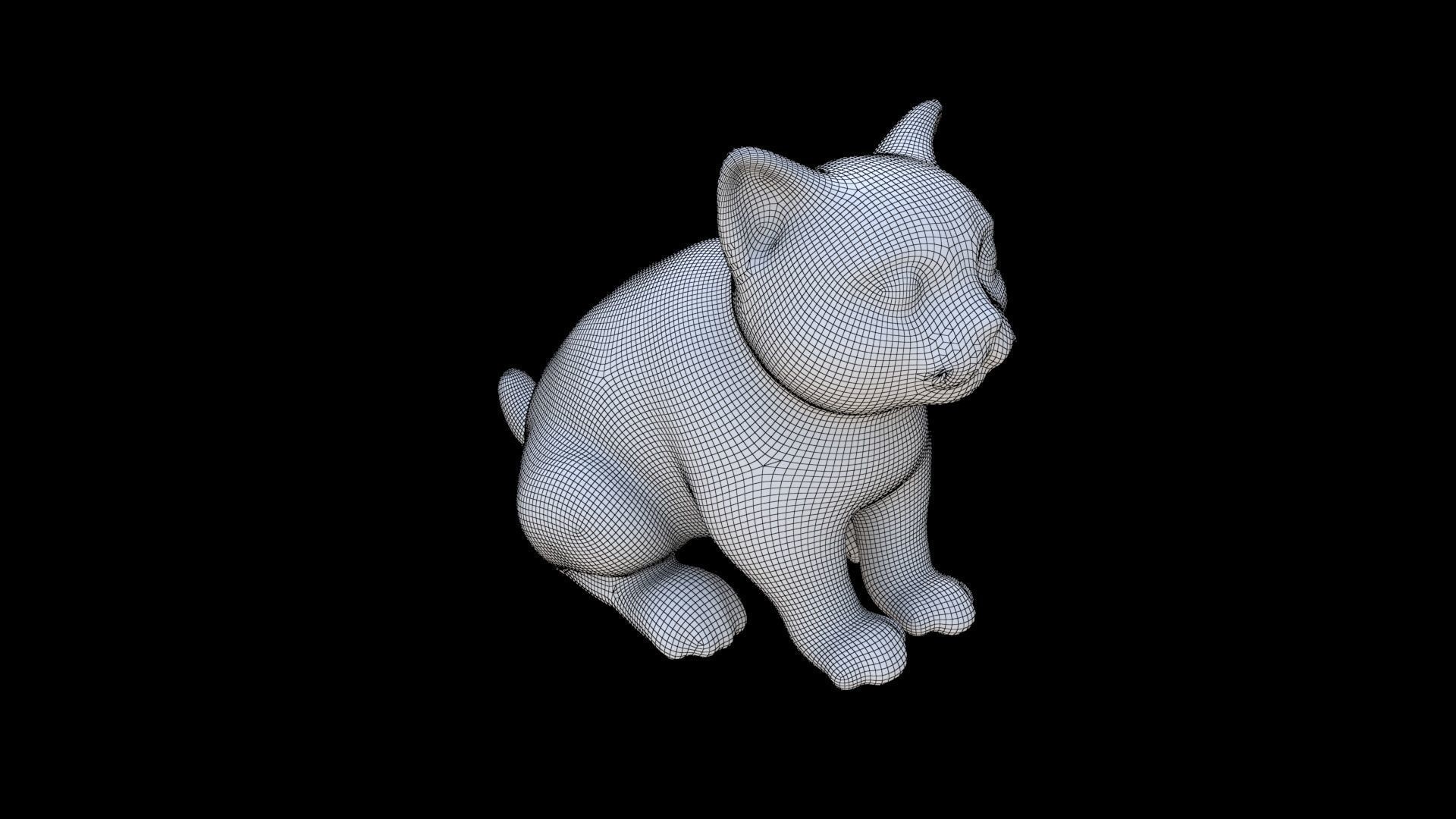 Scottish Fold seated 3D model_5
