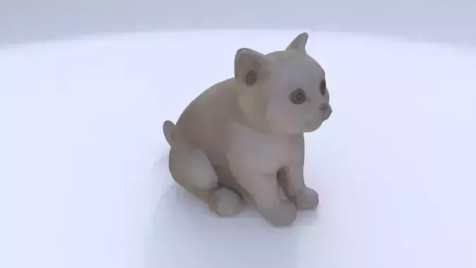 Scottish Fold seated