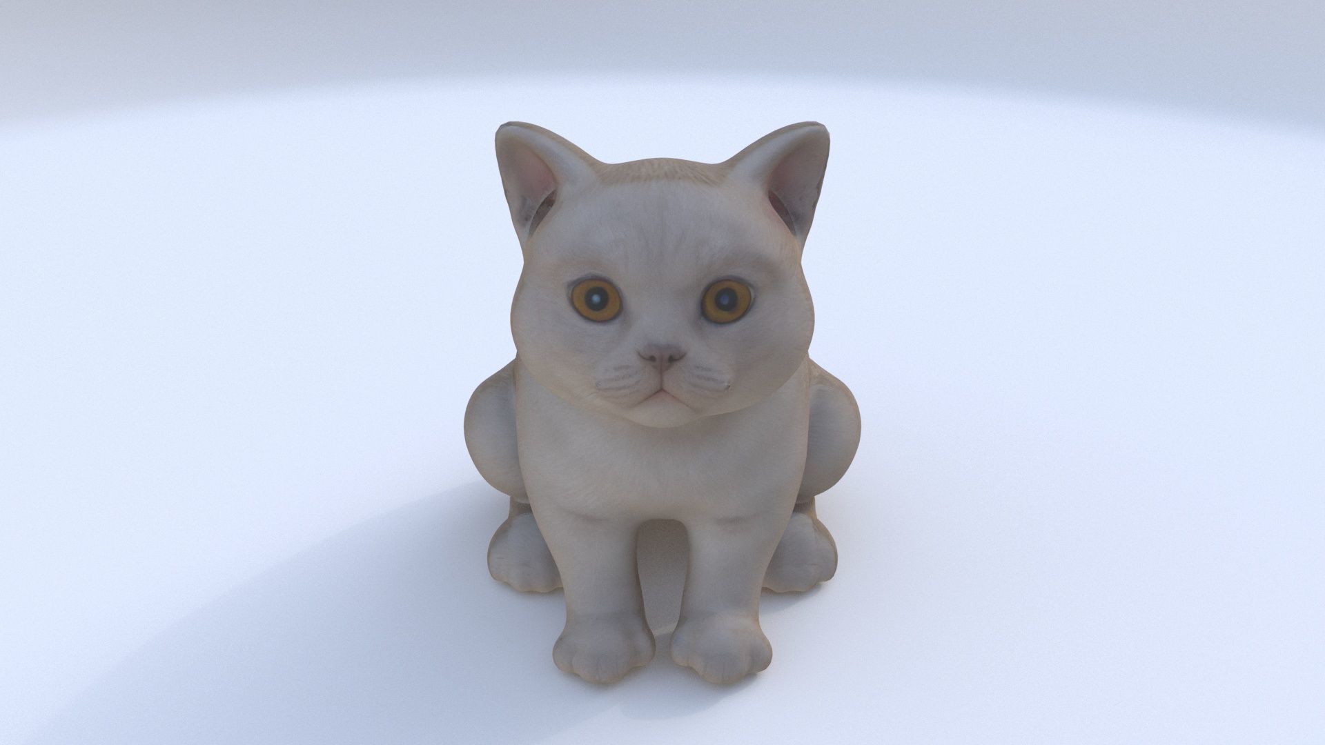 Scottish Fold seated 3D model_1