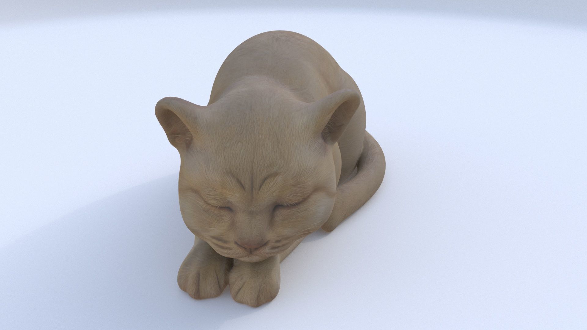 Scottish Fold sleeping 3D model_1