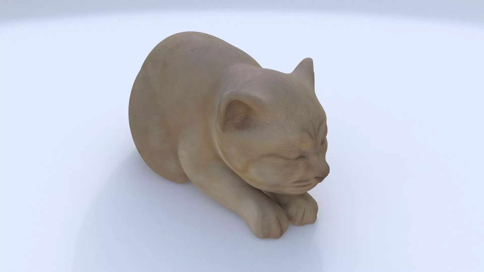 Scottish Fold sleeping 3D model_0
