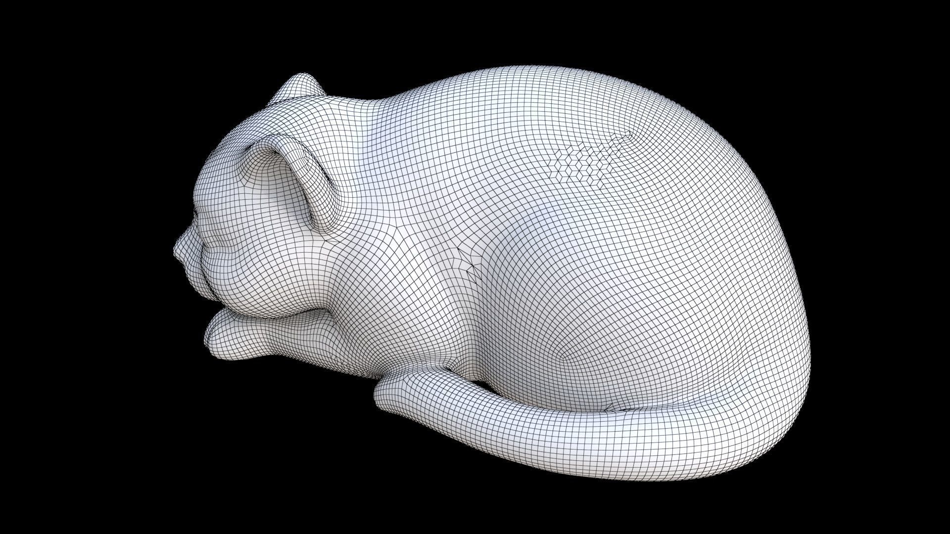 Scottish Fold sleeping 3D model_7