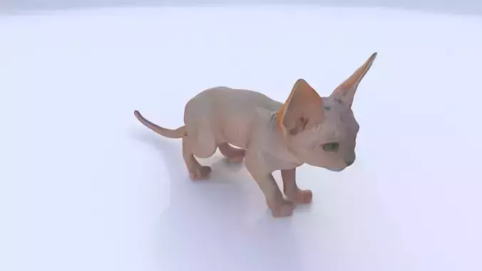 Sphynx