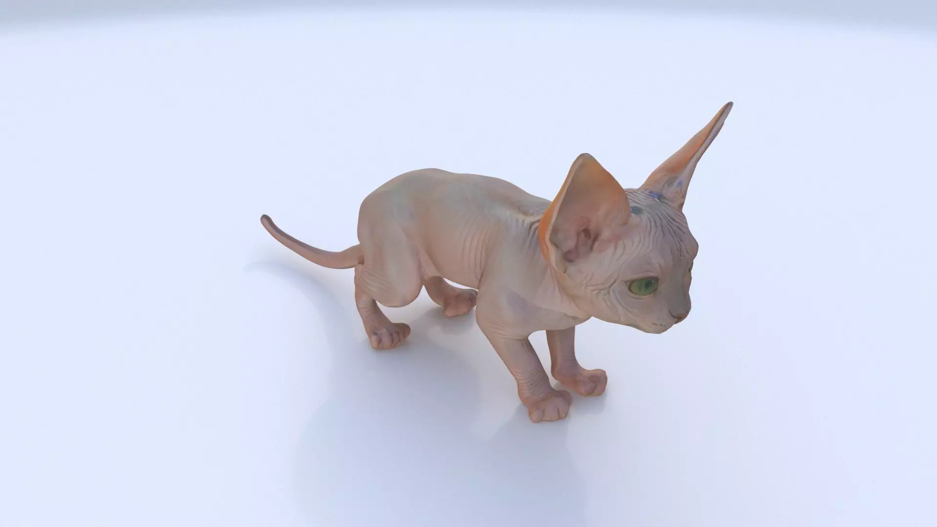 Sphynx 3D model_0