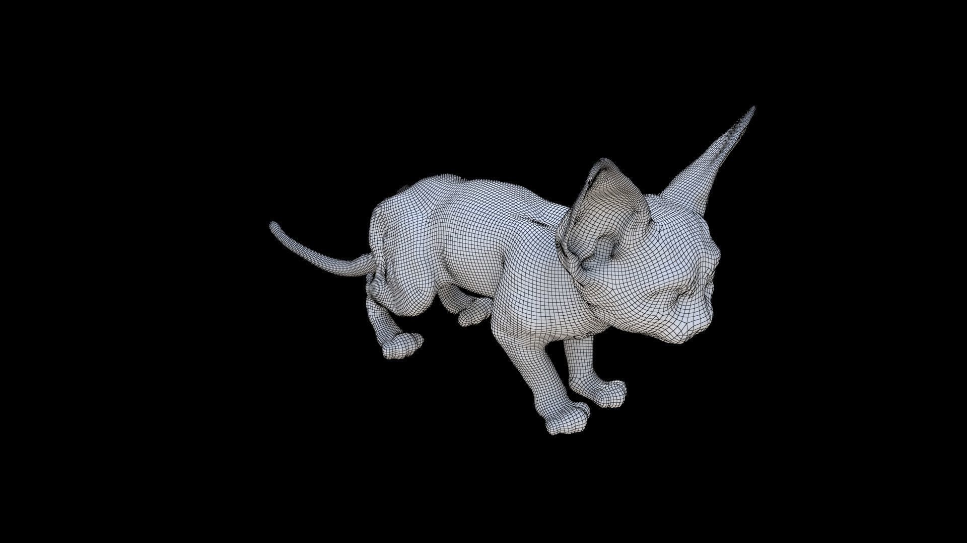 Sphynx 3D model_5