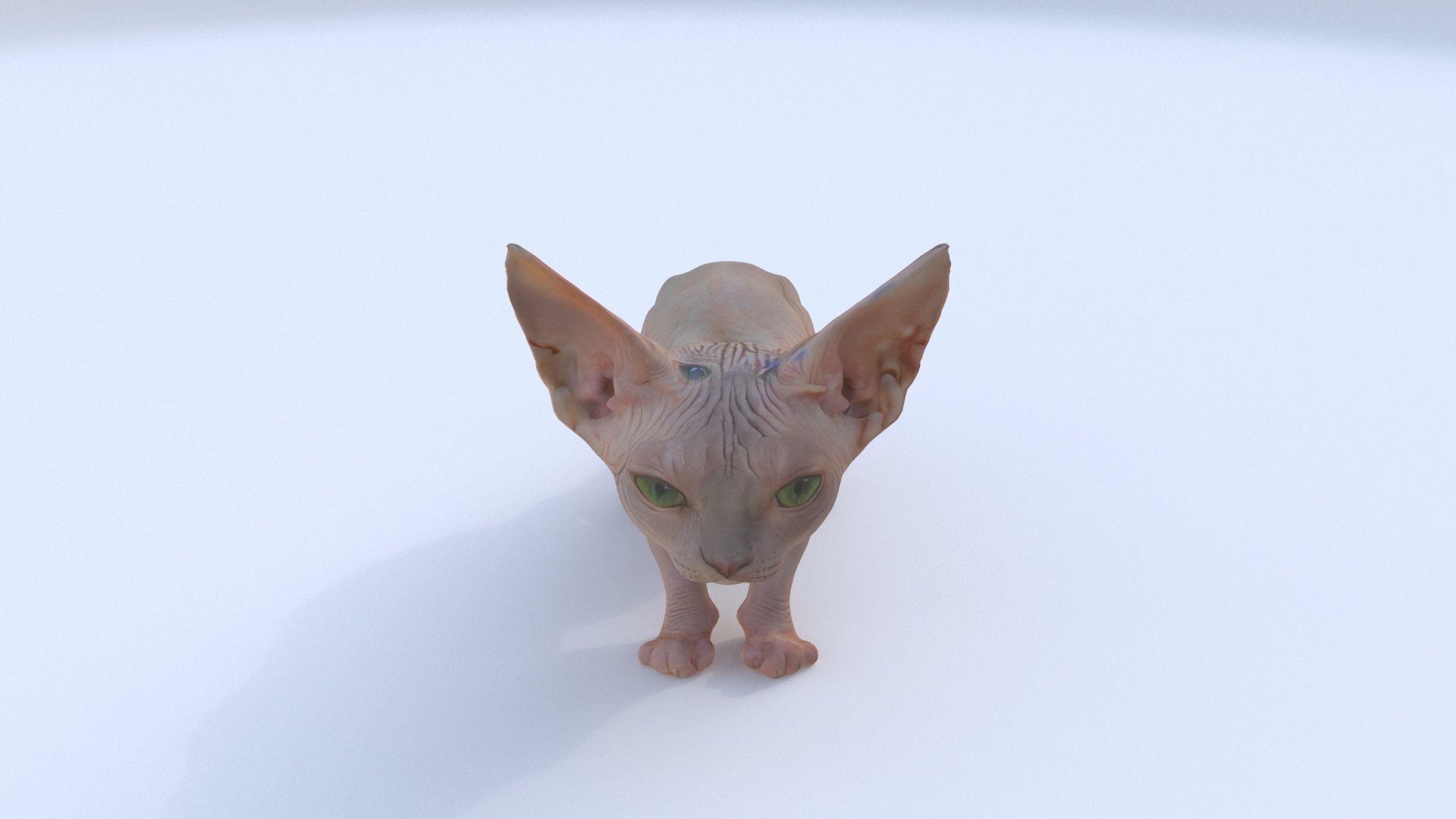 Sphynx 3D model_1