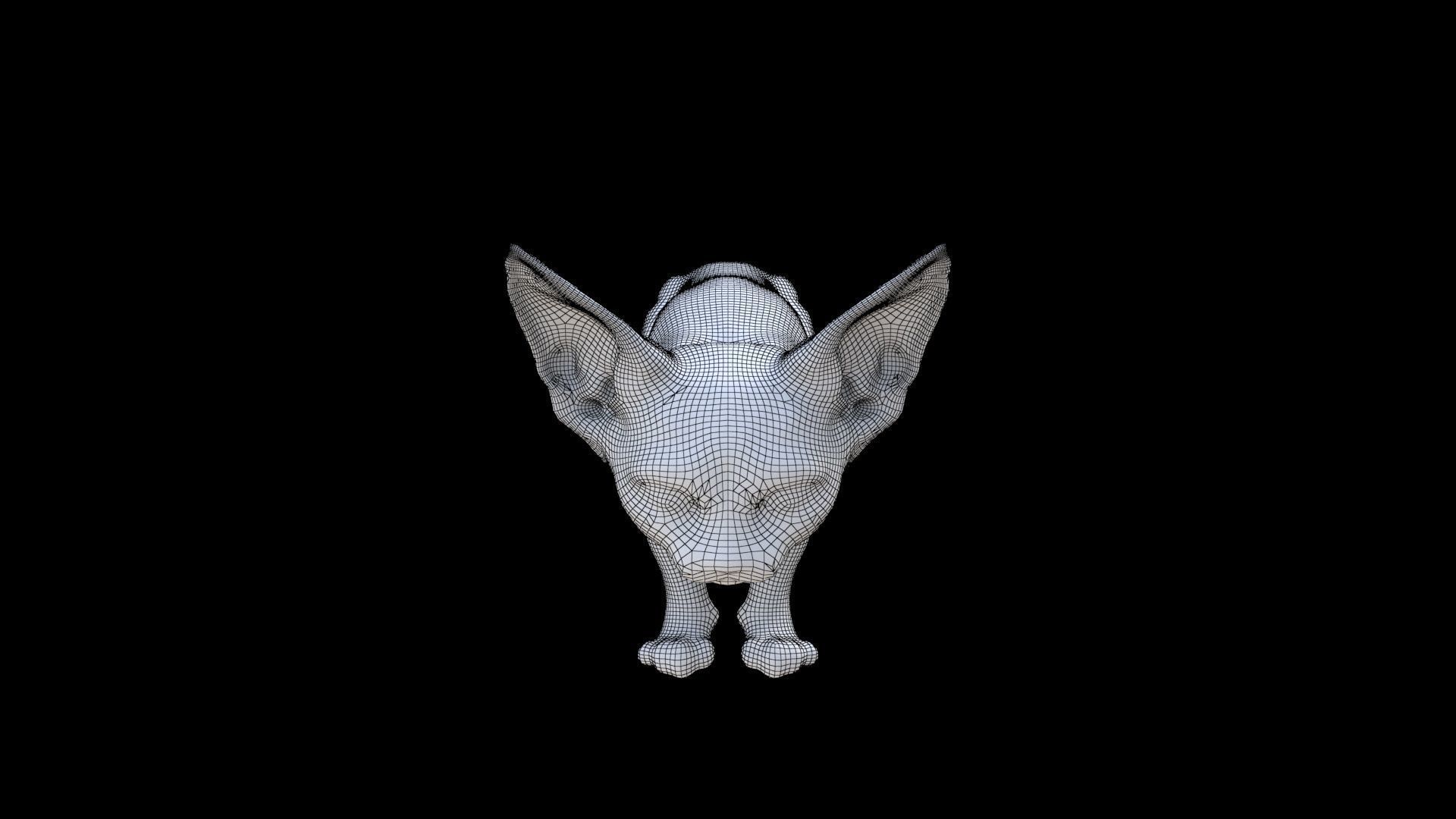 Sphynx 3D model_6