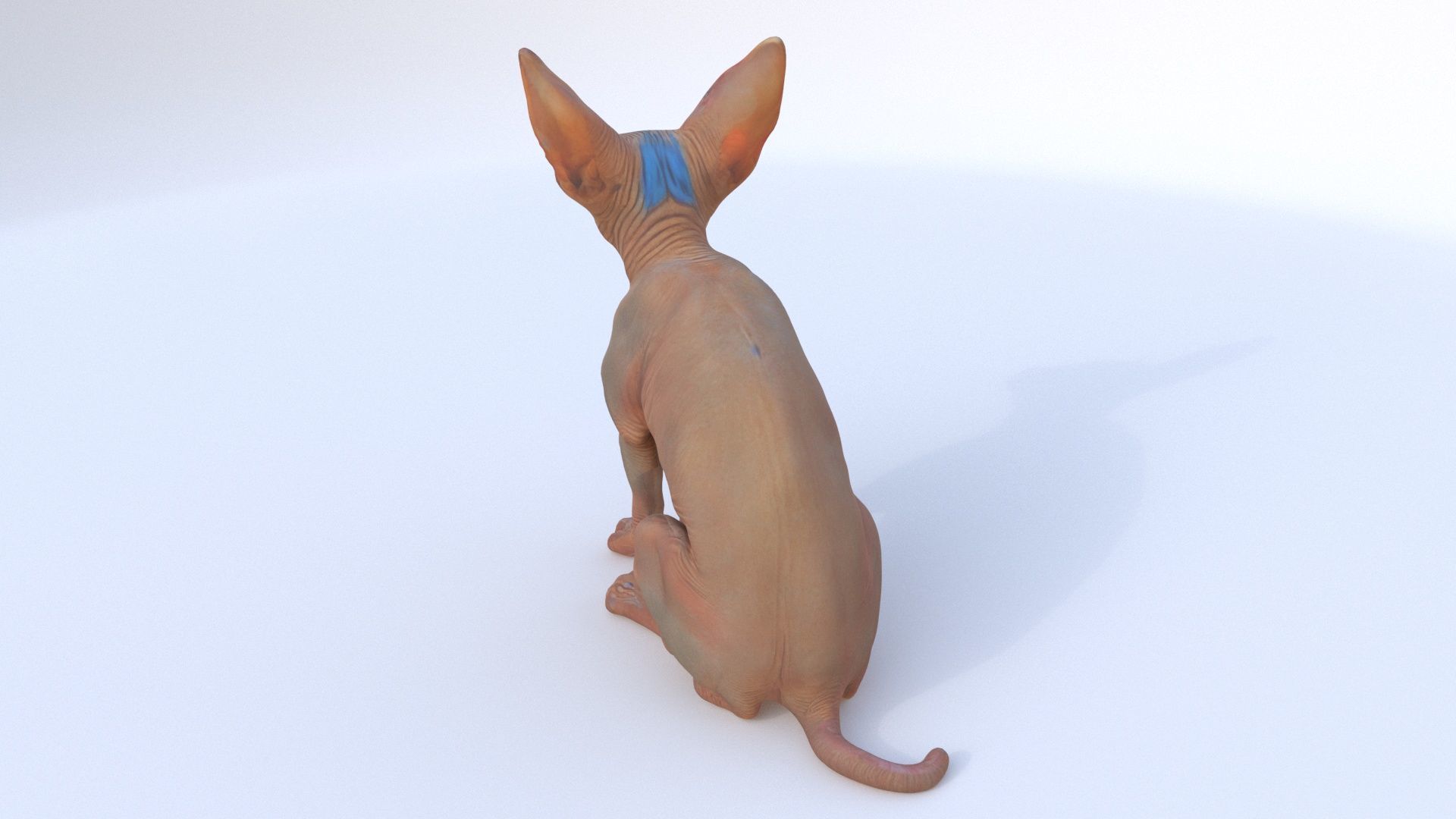Sphynx seated 3D model_4