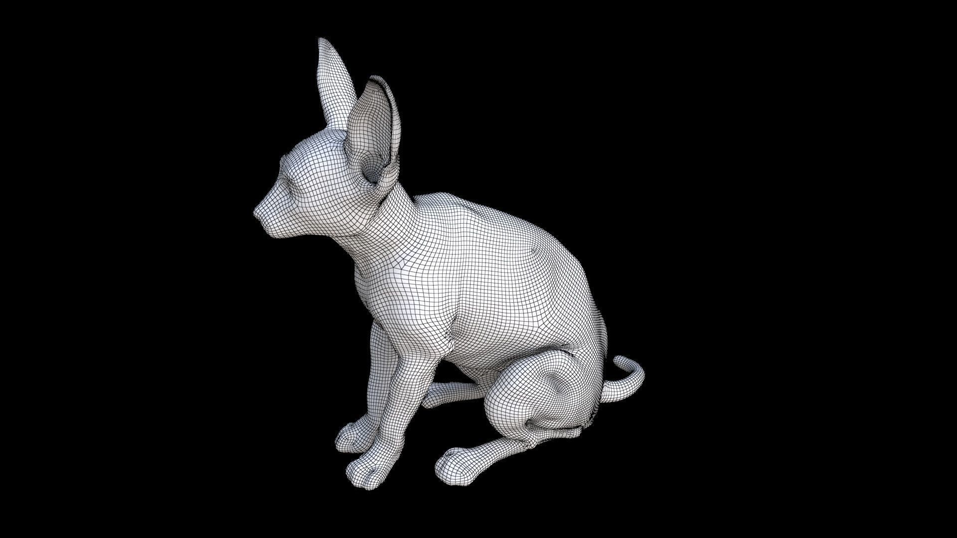 Sphynx seated 3D model_7