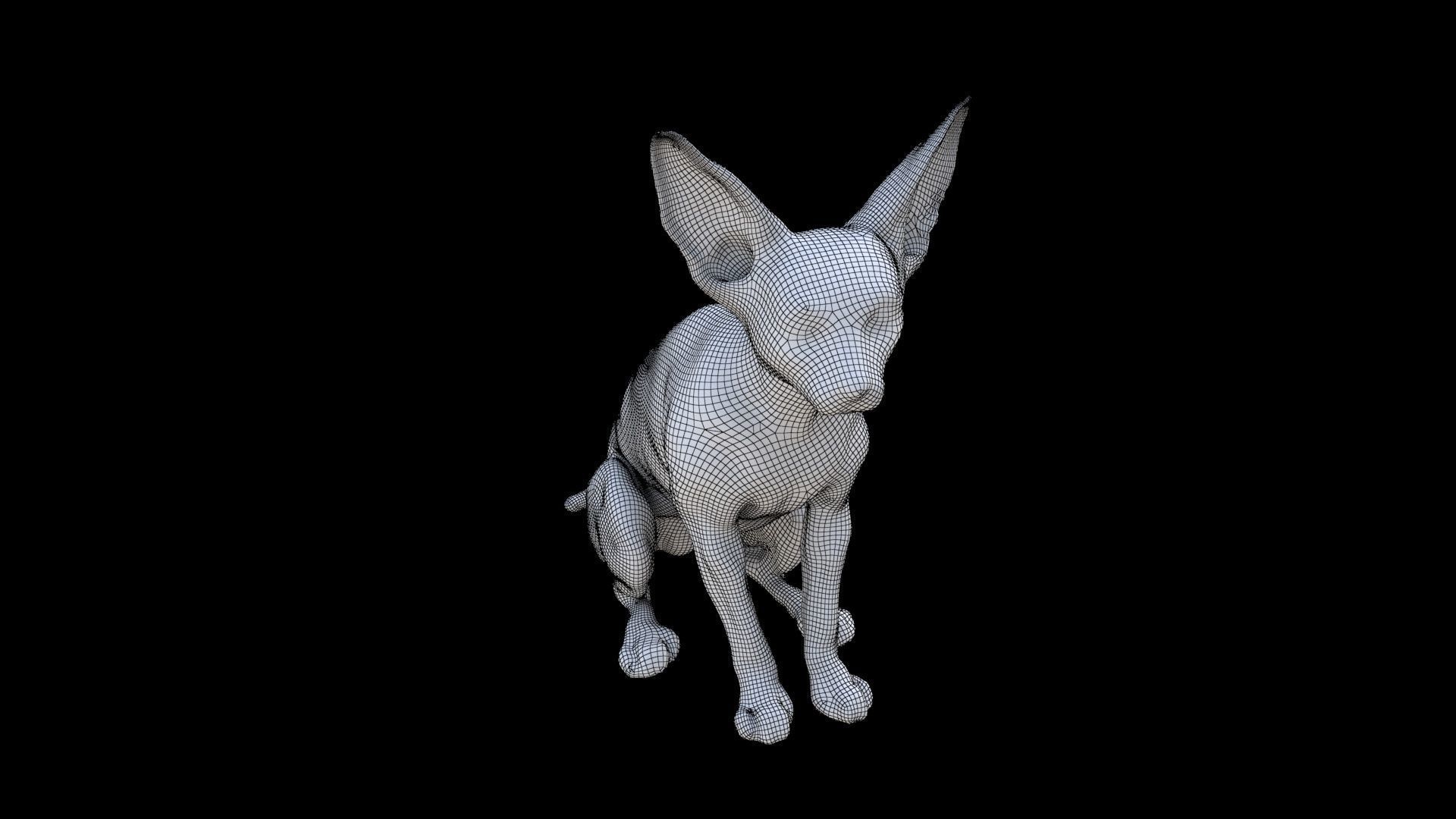 Sphynx seated 3D model_6