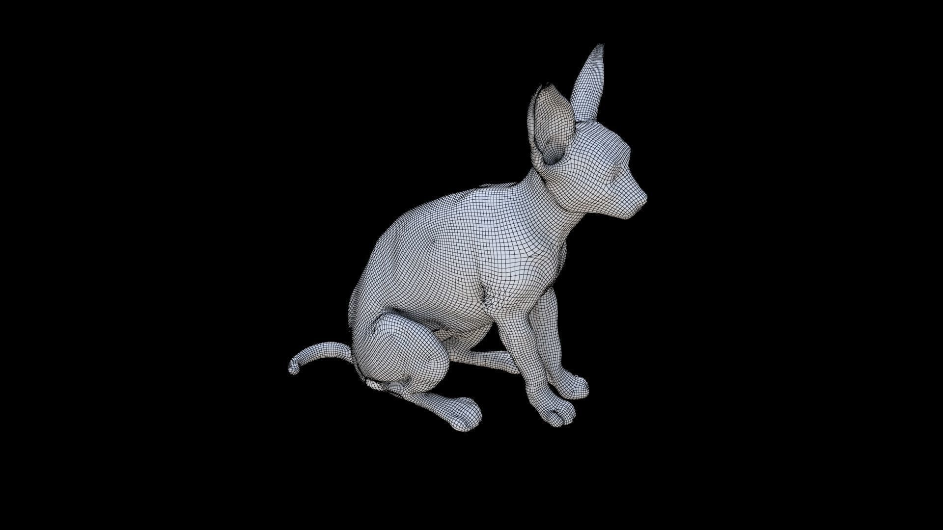 Sphynx seated 3D model_5