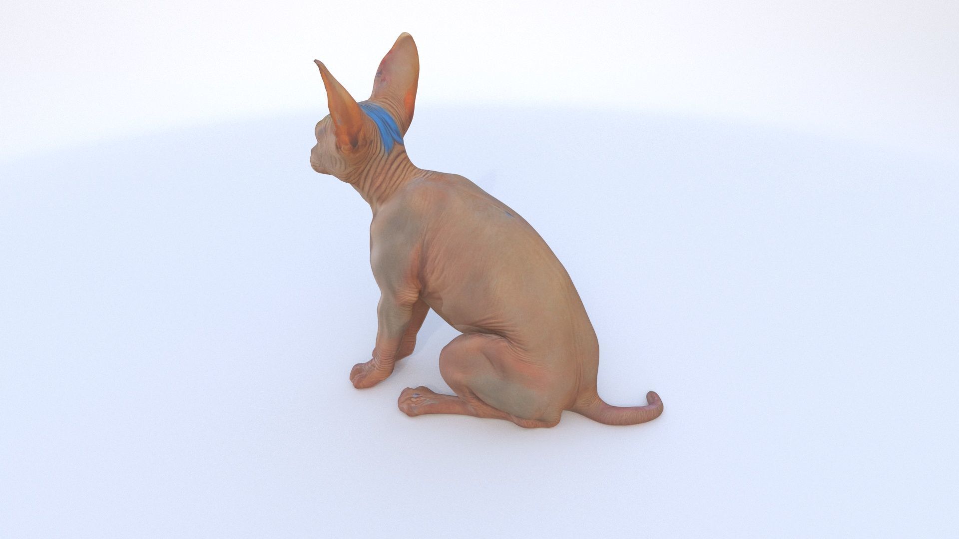 Sphynx seated 3D model_3