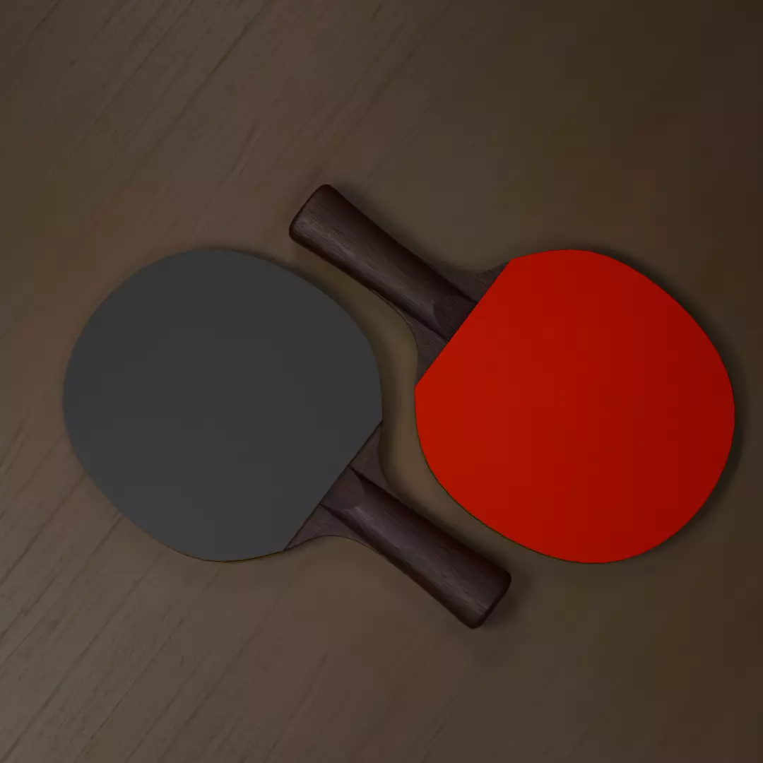 Table Tennis Rackets 3D model