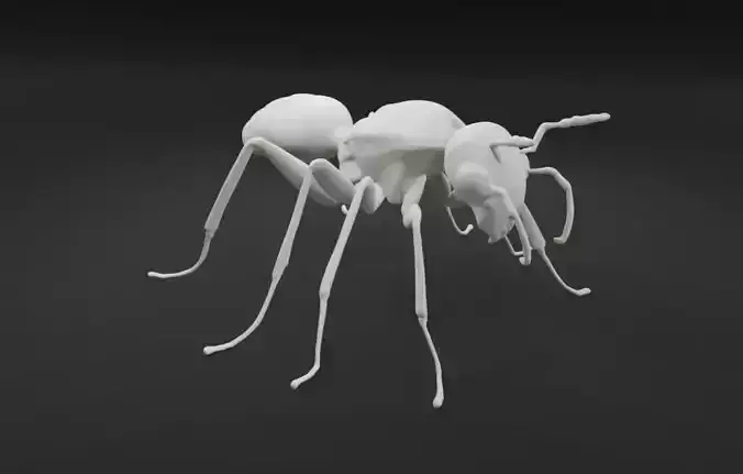 Realistic Ant Printable 3d Model