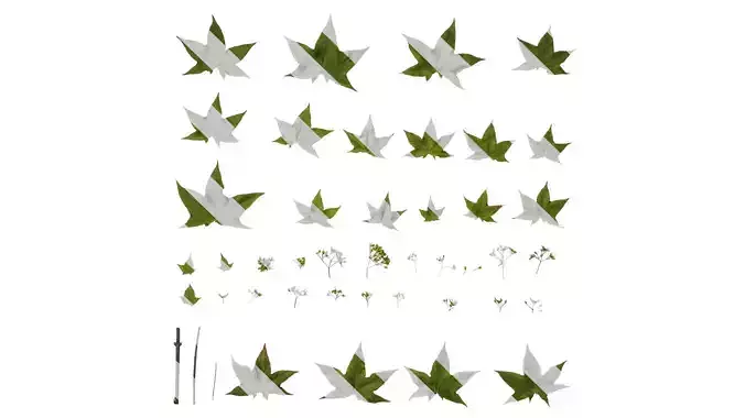 Anydrafts Acer pictum Atlas 04 Texture