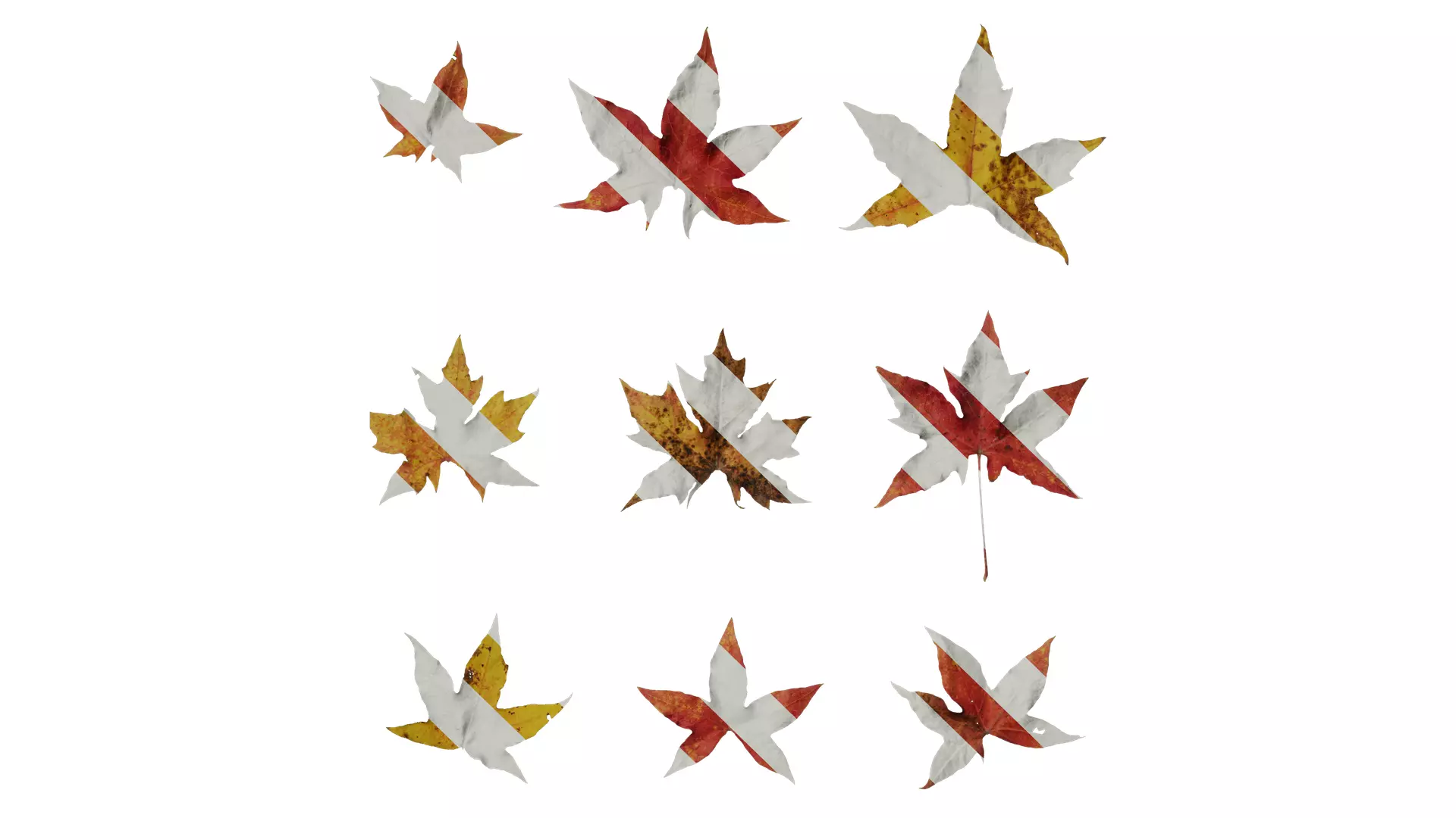 Anydrafts Acer saccharum Leaf 01 Texture_0