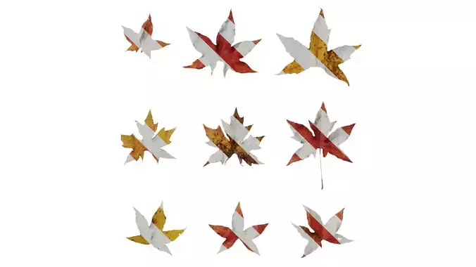 Anydrafts Acer saccharum Leaf 01