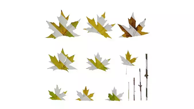 Anydrafts Acer saccharum Leaf 03