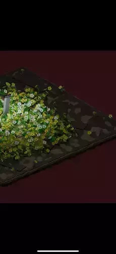 Outdoor and texture 3D model