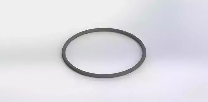 O Ring Vedabras 12090