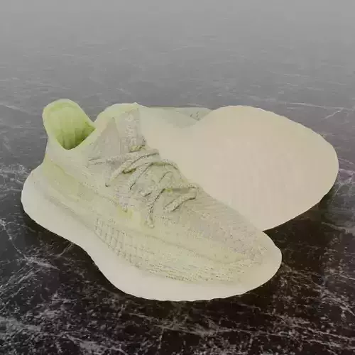 Yeezy Boost 350 V2 Antlia 3D SHOES
