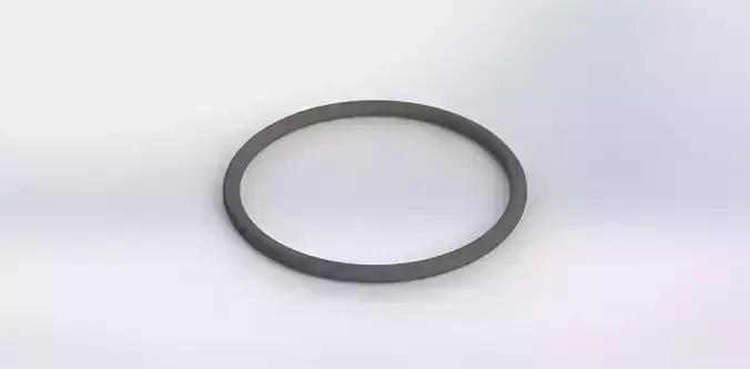 O Ring Vedabras 12089