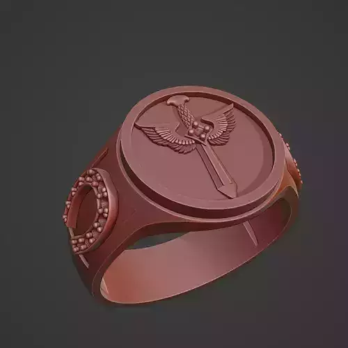 Anillo Espada Herradura