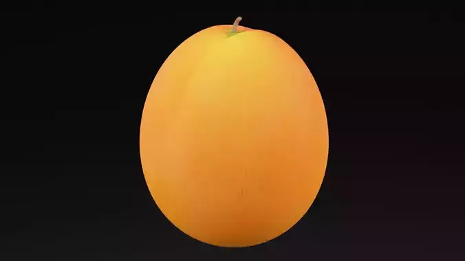 Realistic Apricot