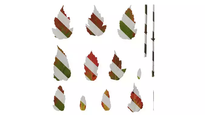 Anydrafts Acer tataricum Leaf 01 F