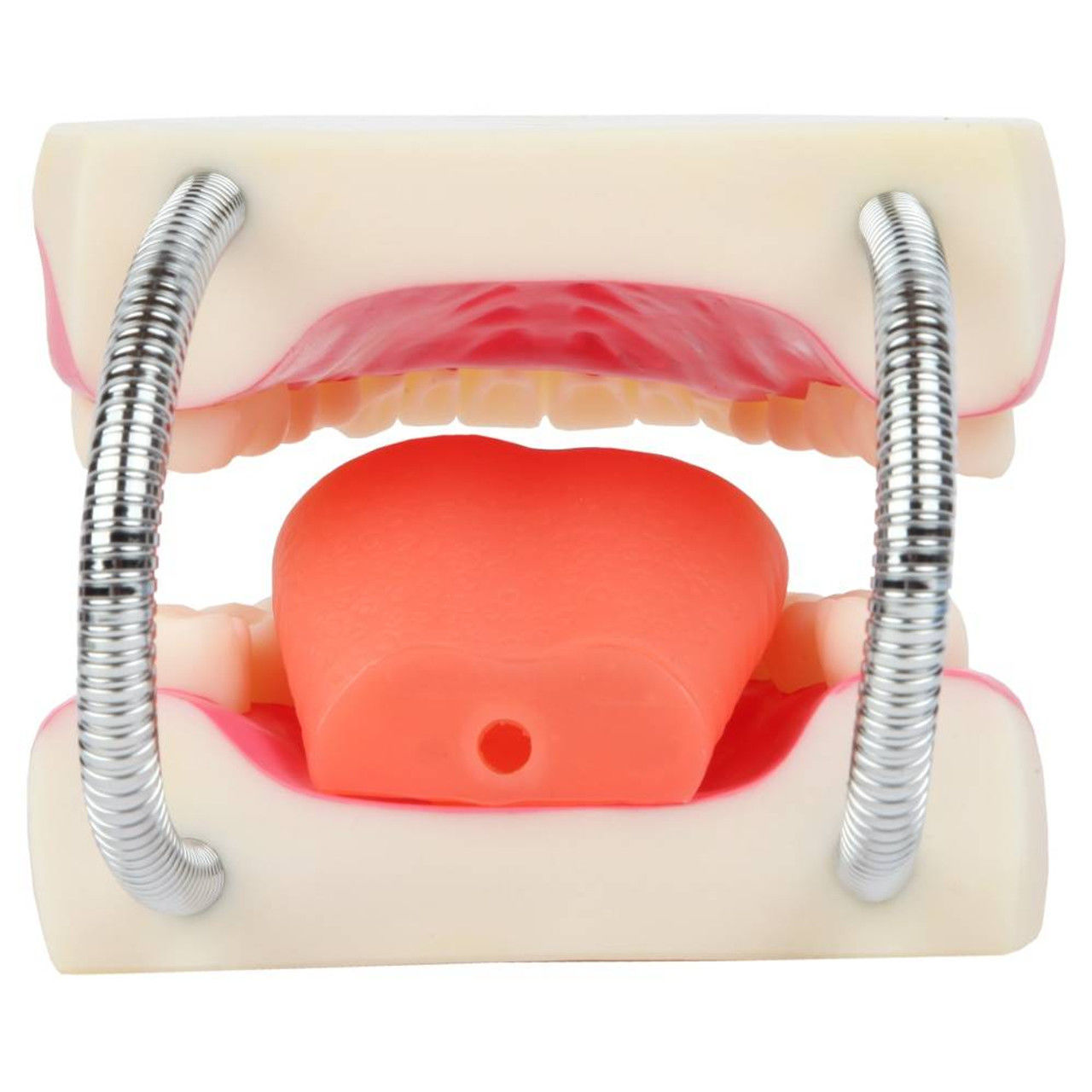 3D Teeth and Mouth Model 3D print model_4