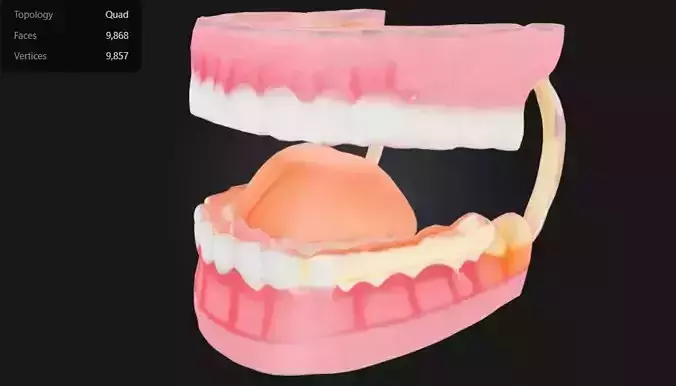 3D Teeth and Mouth Model 3D print model 3D Teeth and Mouth Model 3D print model