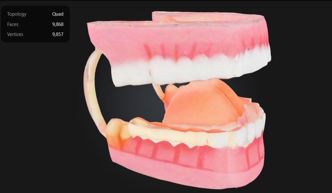 3D Teeth and Mouth Model 3D print model_2