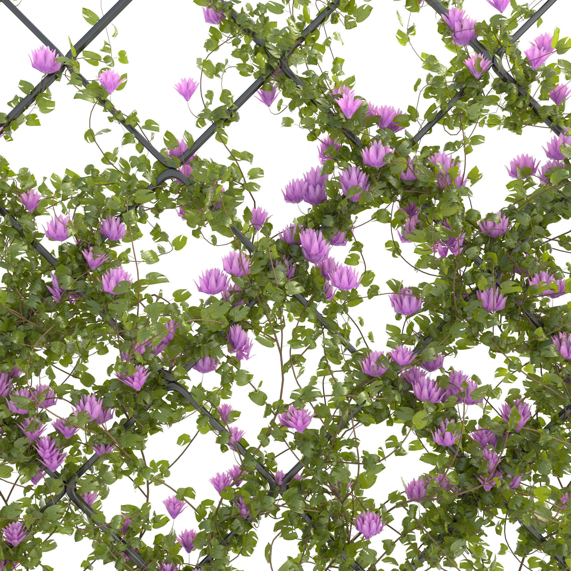 plantscollection33 3D model_3