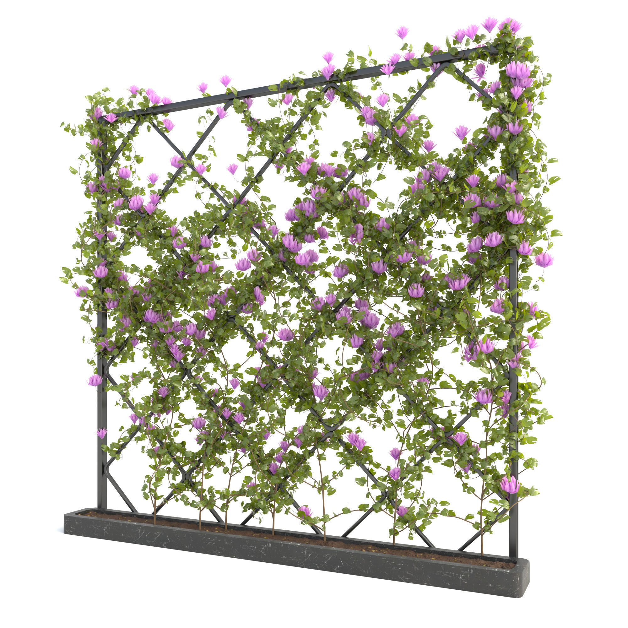 plantscollection33 3D model_2