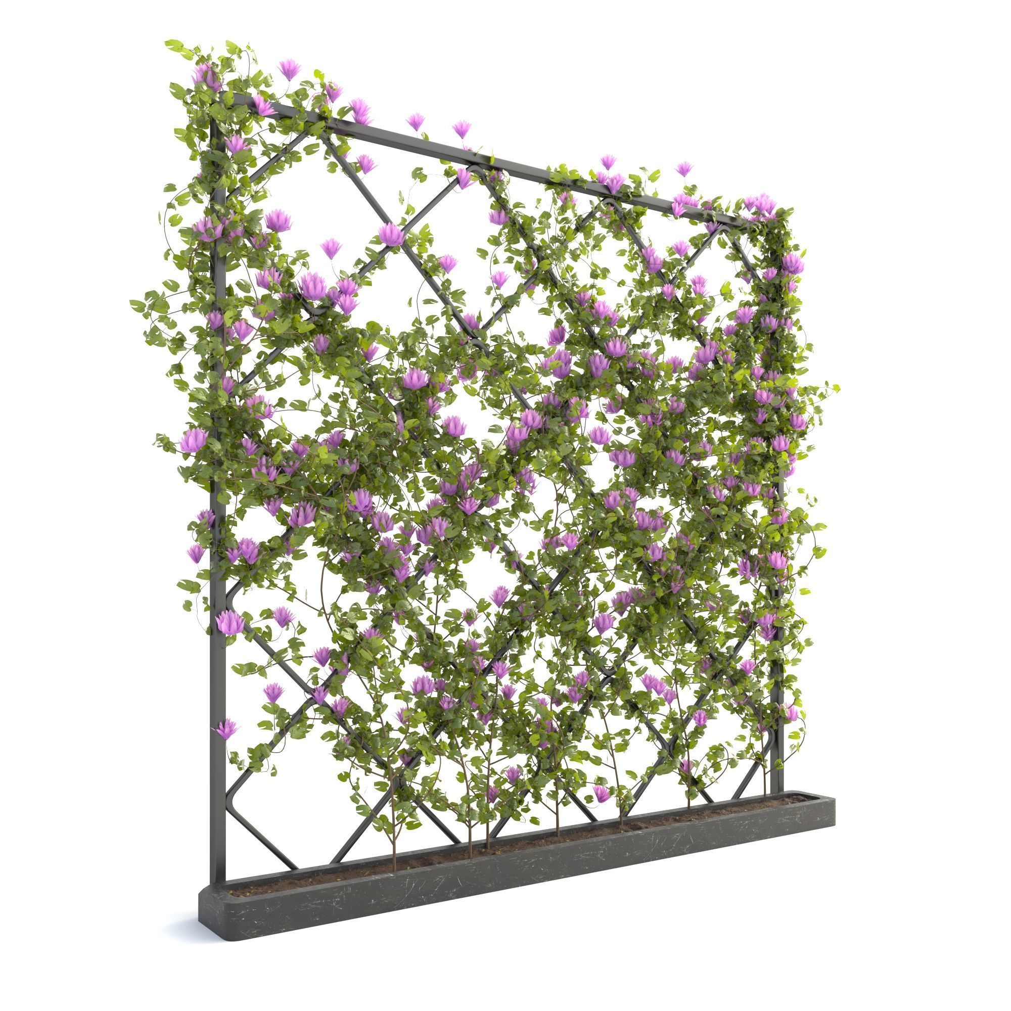 plantscollection33 3D model_1