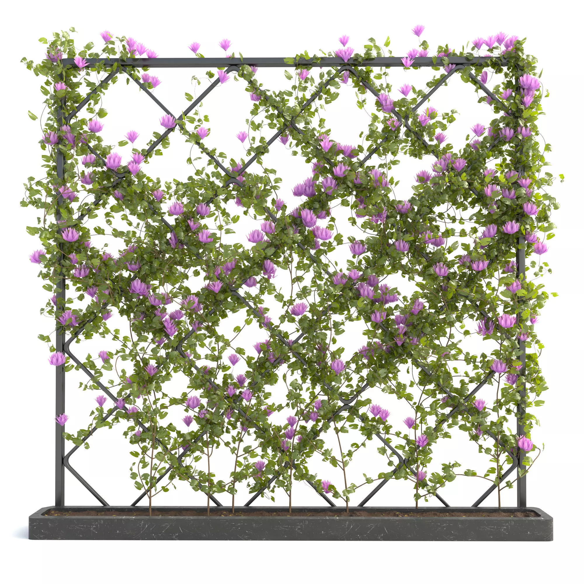 plantscollection33 3D model_0