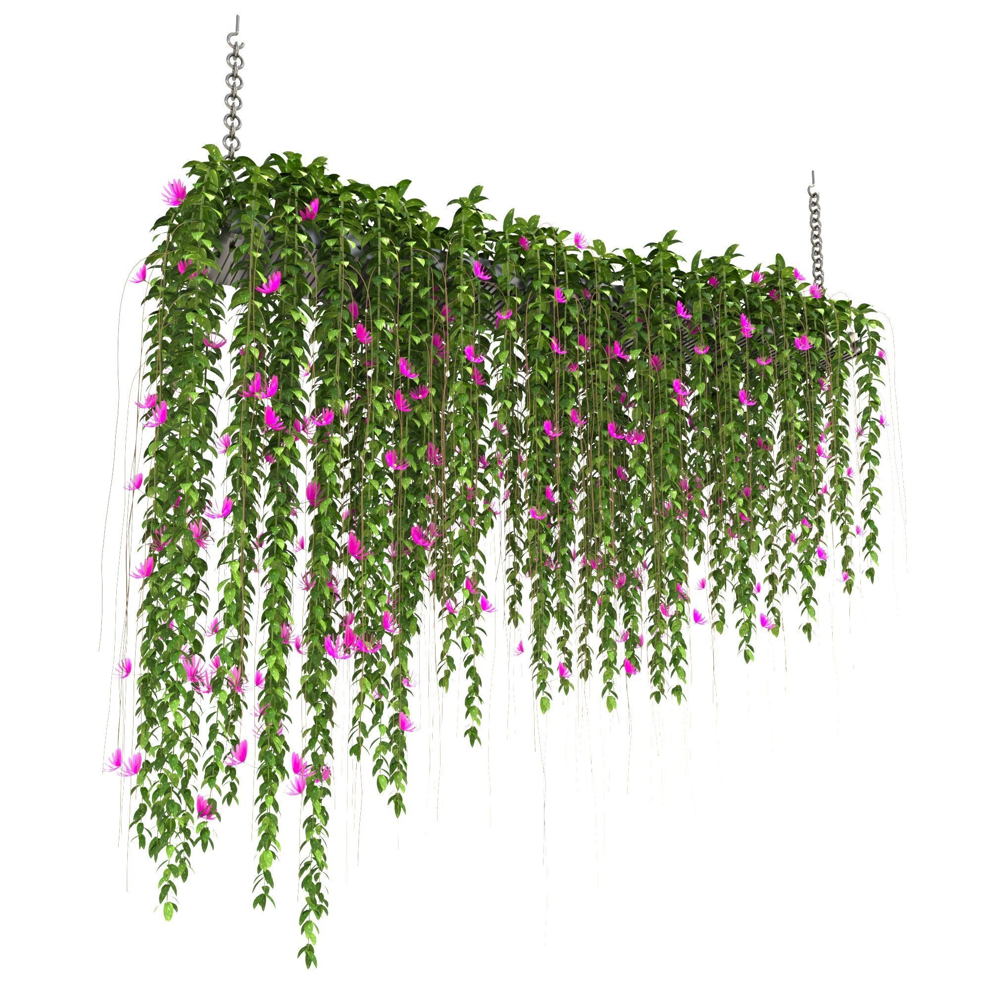 plantscollection35 3D model_1