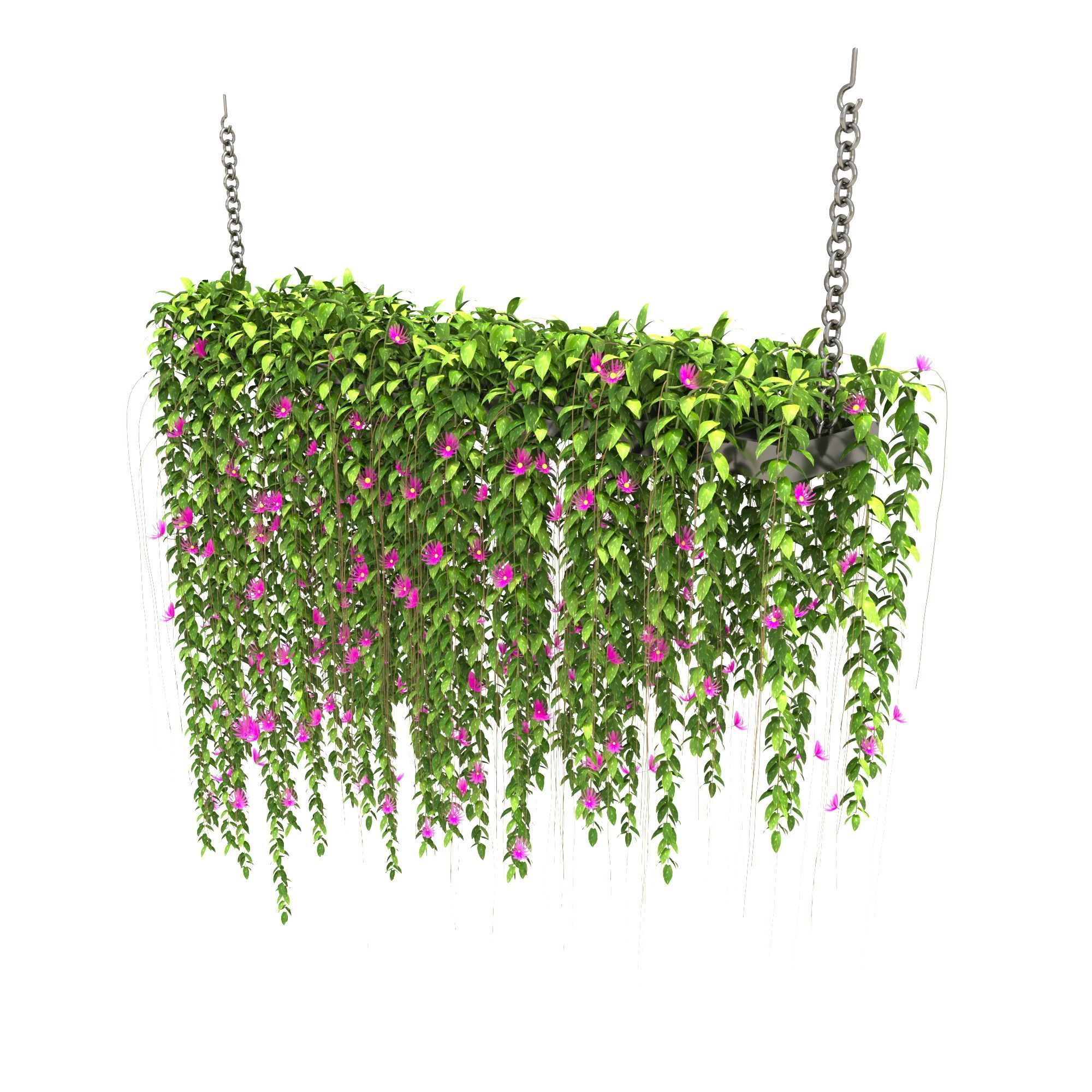 plantscollection35 3D model_2