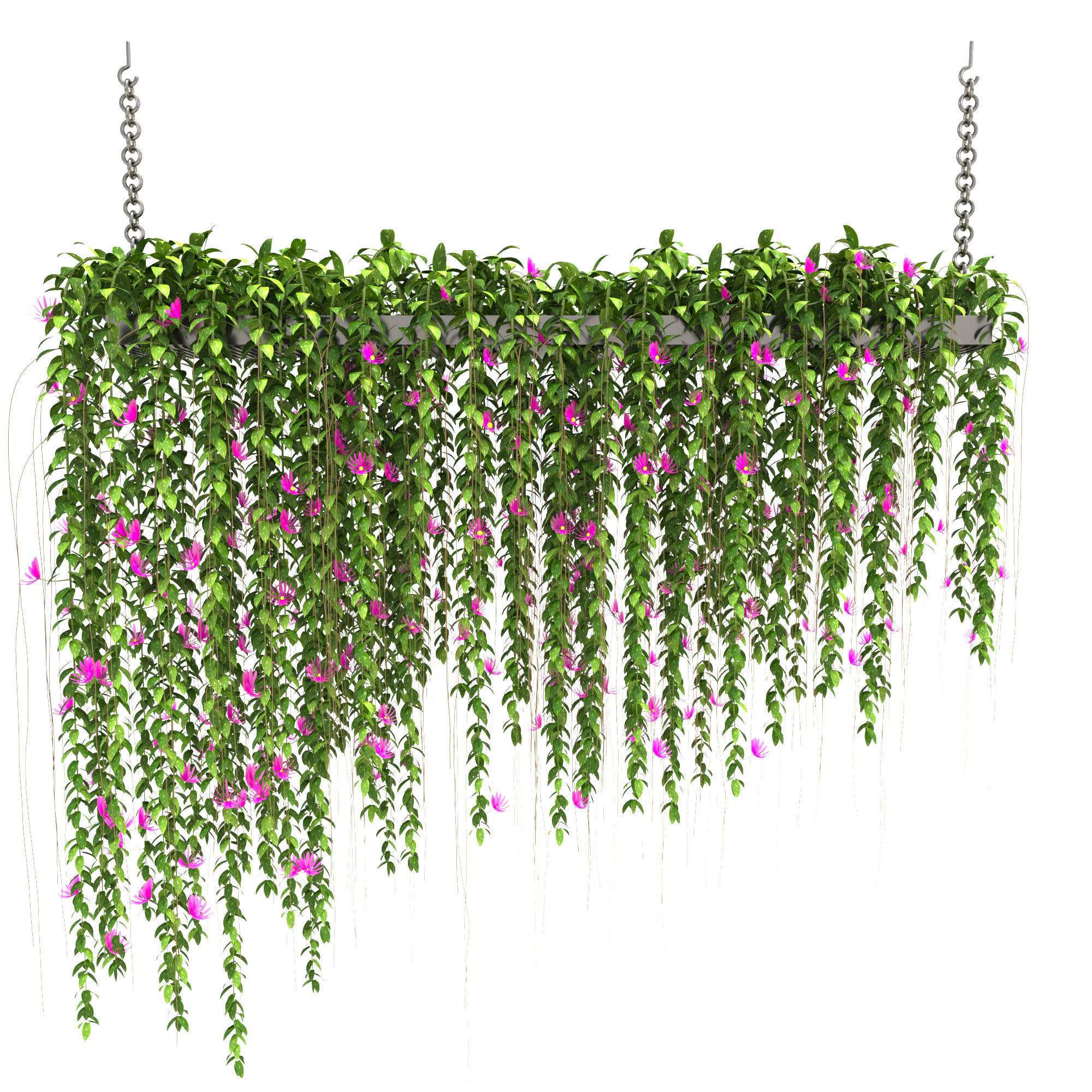 plantscollection35 3D model_0