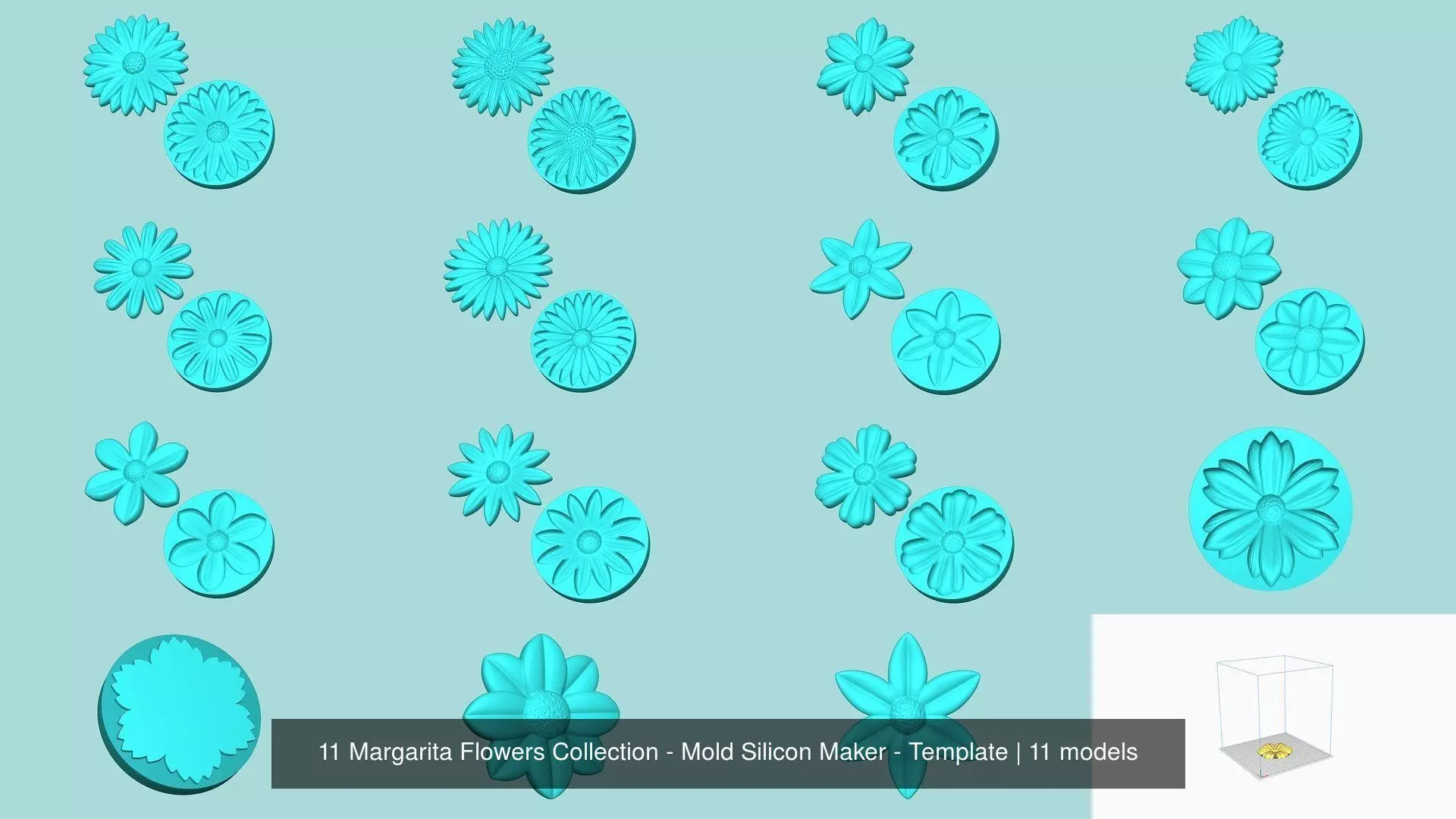 11 Margarita Flowers Collection - Mold Silicon Maker - Template _1