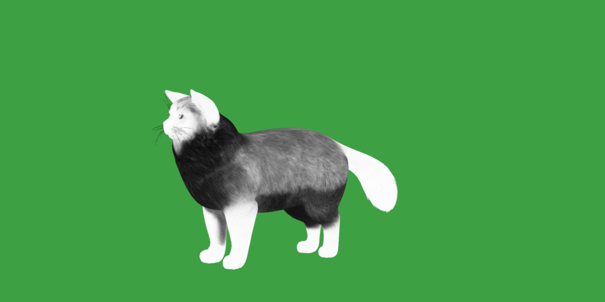 Ragdoll Cat Breed Low-poly 3D model_9