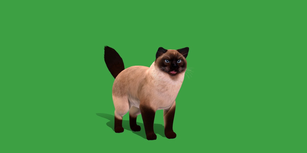 Ragdoll Cat Breed Low-poly 3D model_30