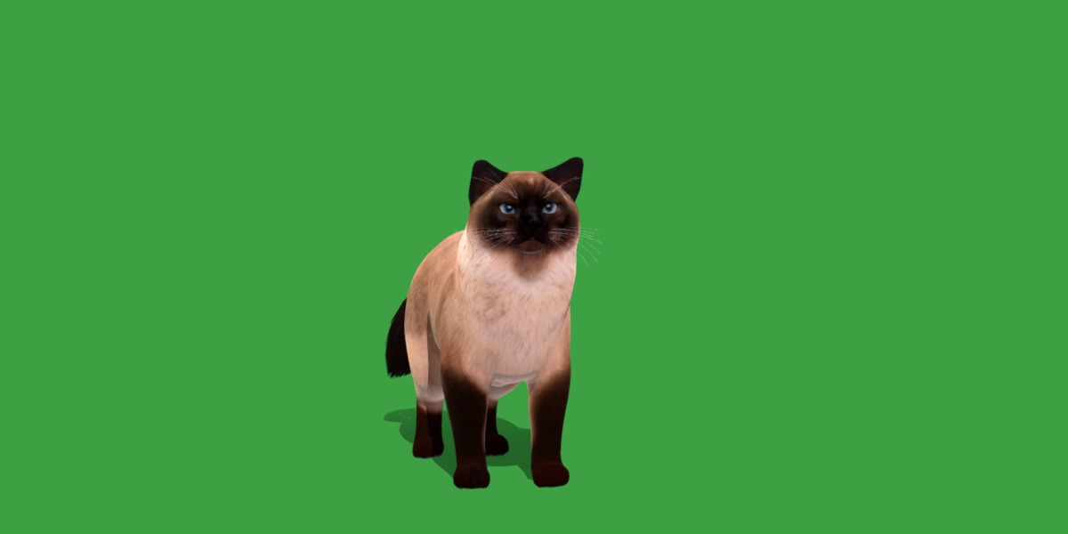 Ragdoll Cat Breed Low-poly 3D model_4