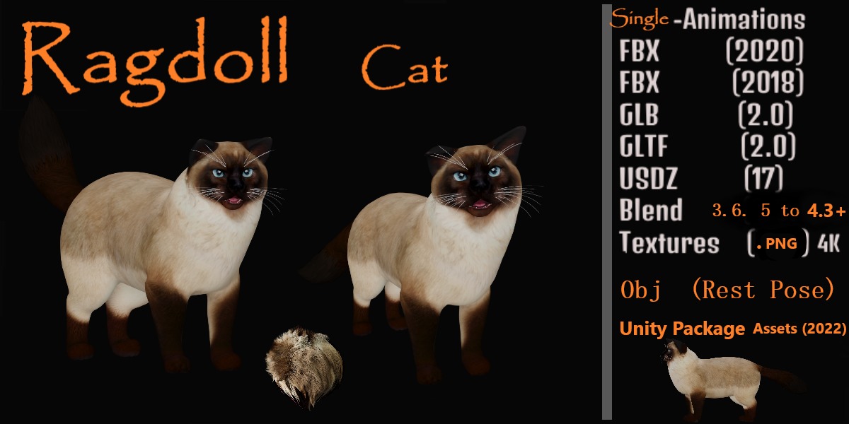 Ragdoll Cat Breed Low-poly 3D model_2