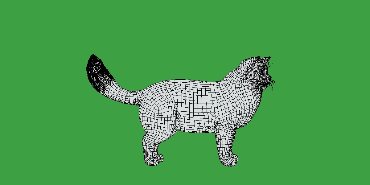 Ragdoll Cat Breed Low-poly 3D model_13