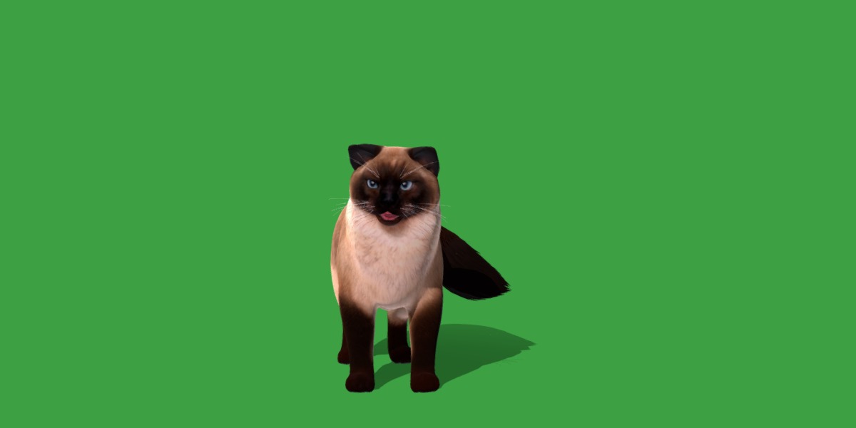 Ragdoll Cat Breed Low-poly 3D model_24